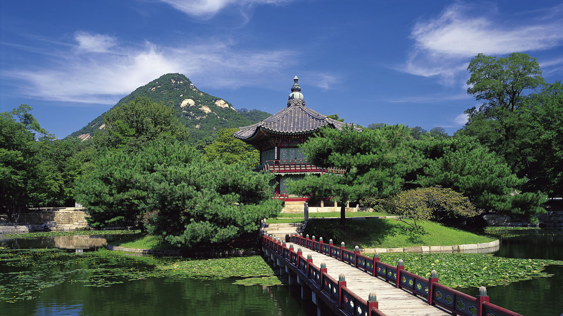 雄鹿主场大胜灰熊，浓眉分独自撑起湖人，雄鹿vs灰熊比赛取消