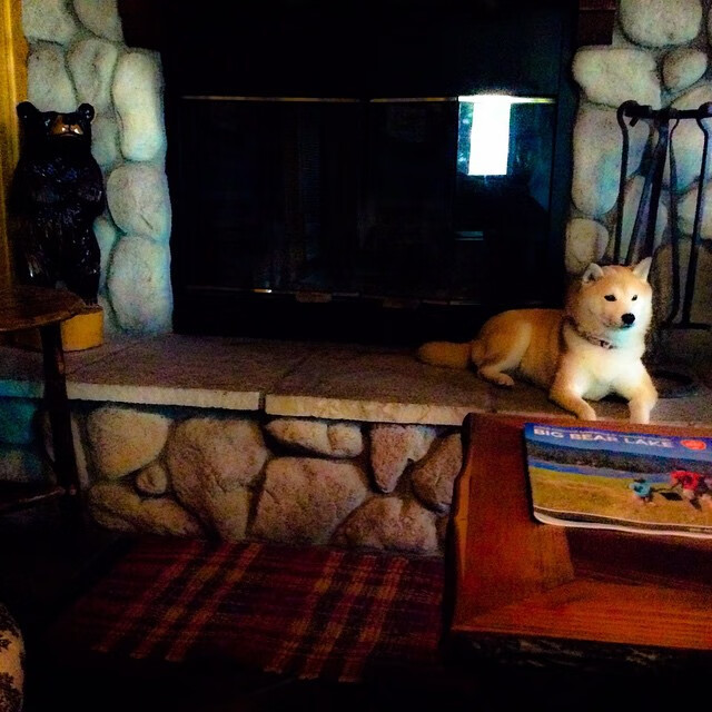 法甲赛事夜场照明质量对球迷体验影响研究