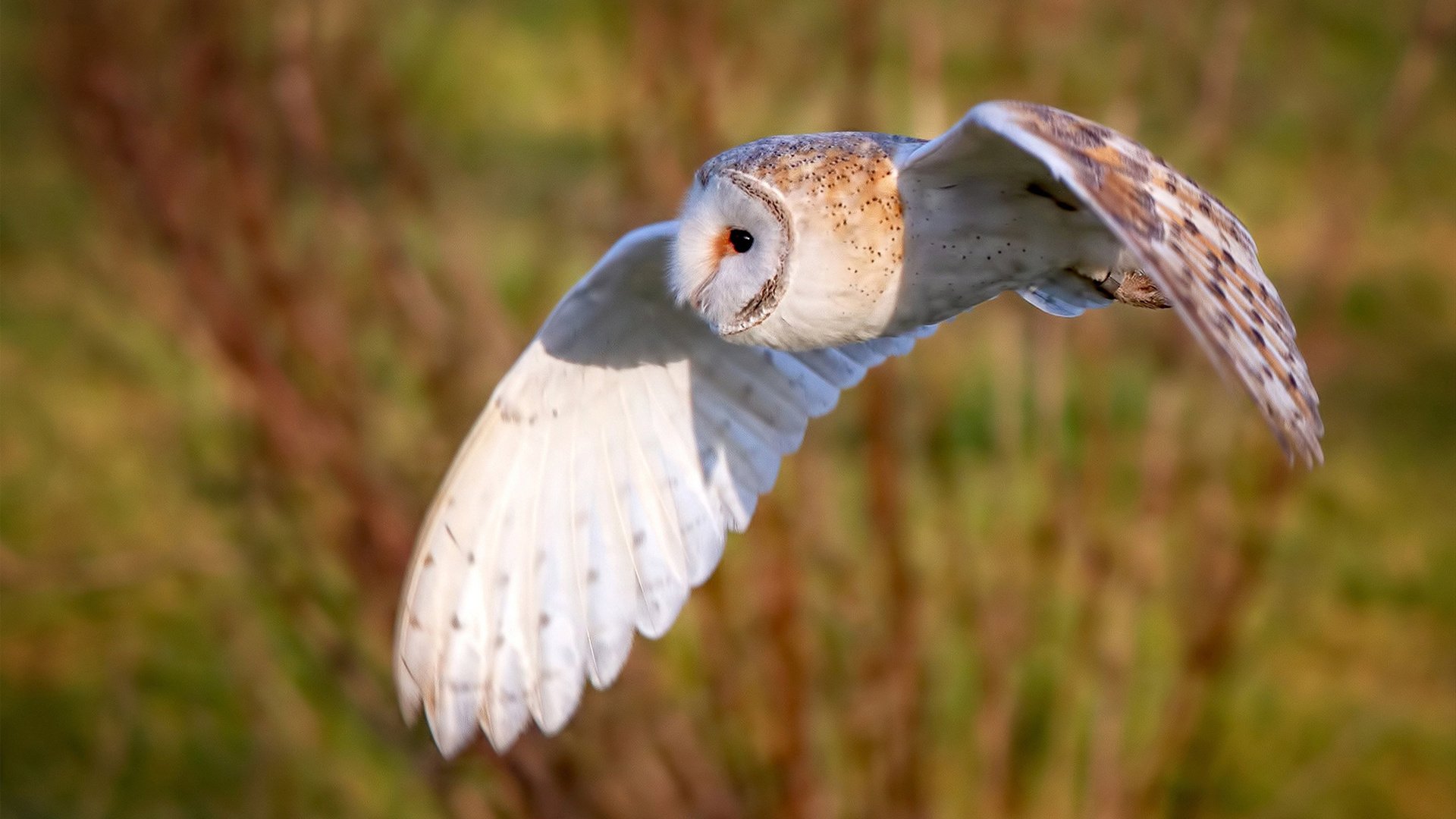 青少年体育运动心理问题干预方法研究，简述对青少年运动员进行心理训练的注意事项