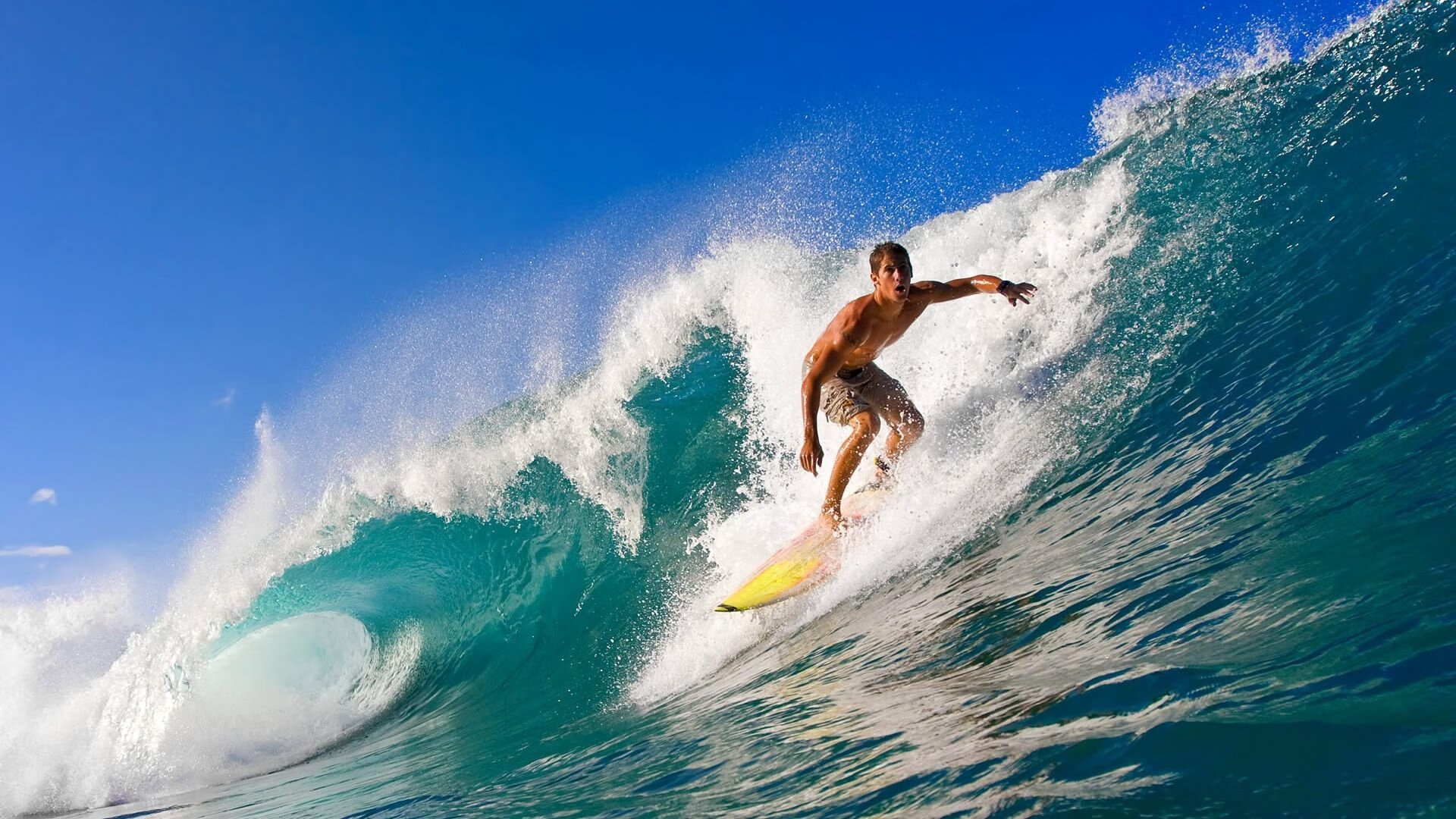 体育新闻中心发布智能运动装备数据分析平台，运动装备资讯