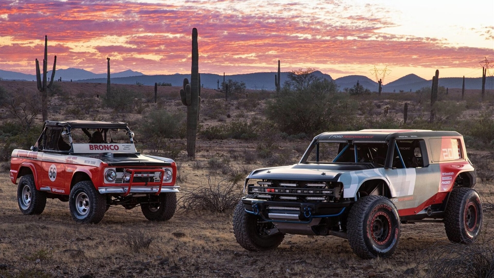 体育新闻中心参与体育社群平台内容安全规范制定,体育信息报道