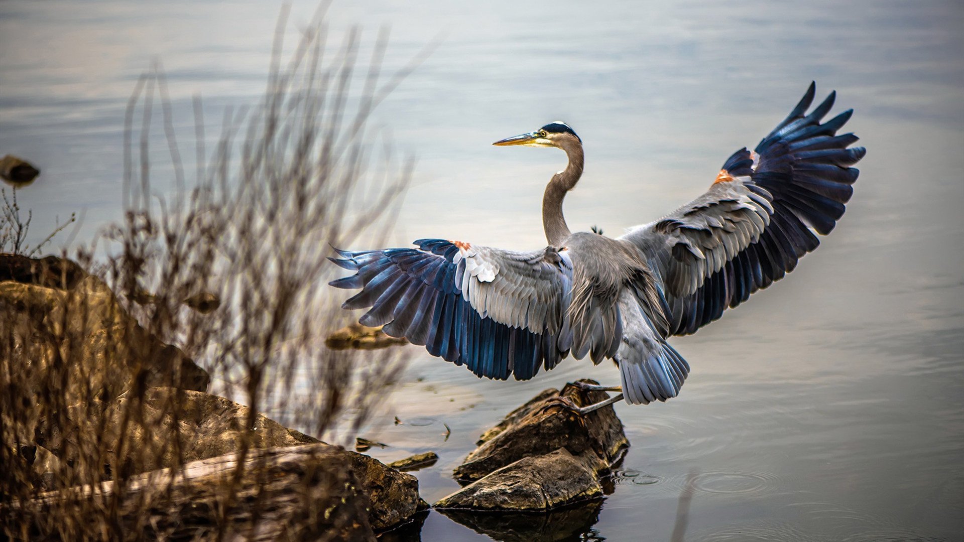 Jiuyou-历史得分排行榜前十对比，历史得分榜nba百度百科