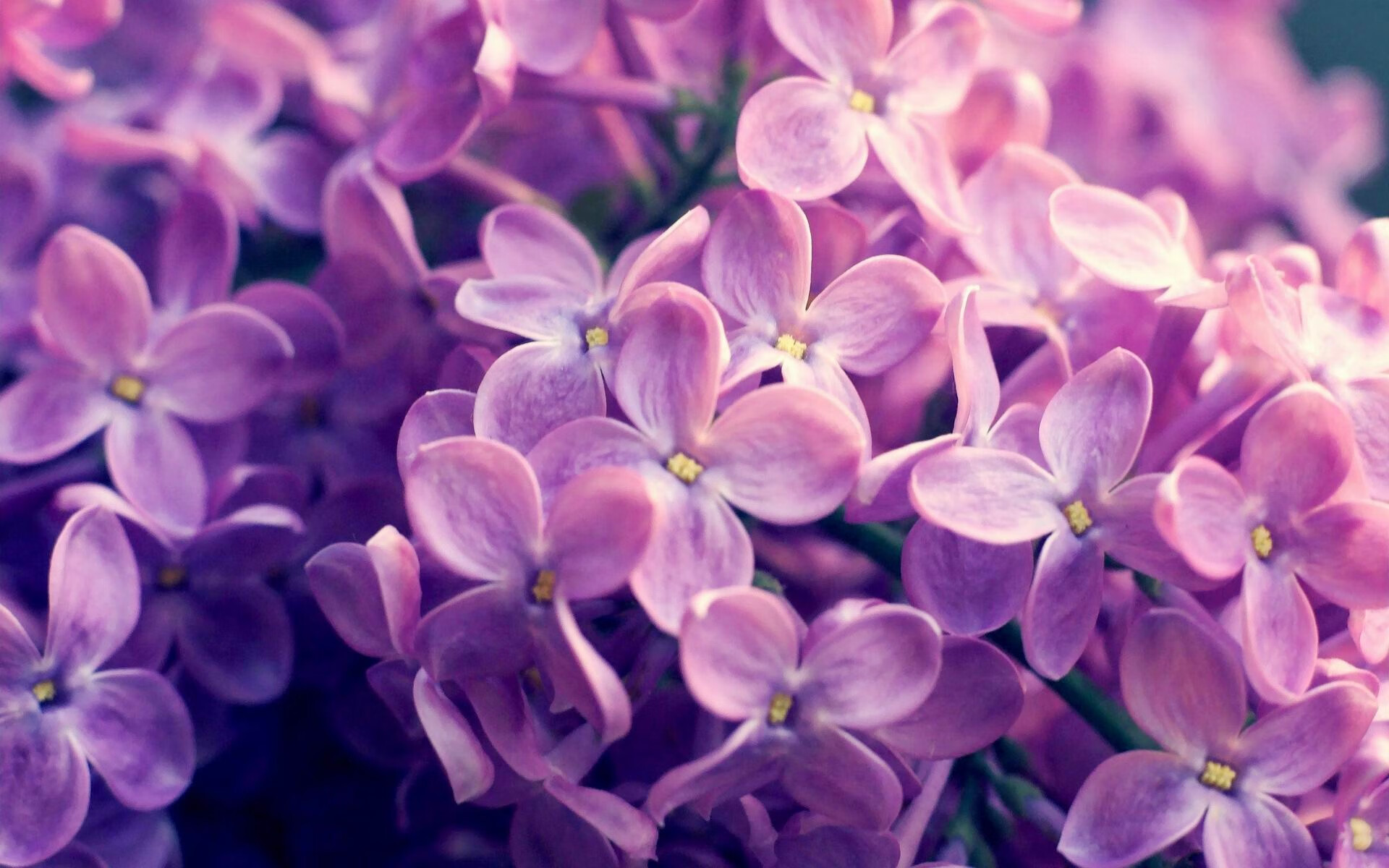 JIUYOU GAMING-乌拉圭全队士气高昂，期待在国际舞台上有精彩表现