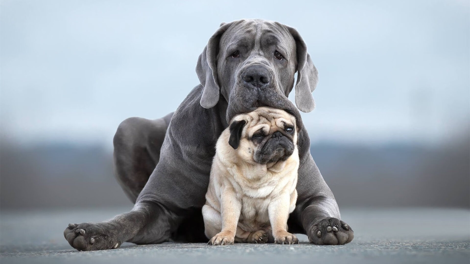 乌拉圭全队士气高昂，期待在国际舞台上有精彩表现