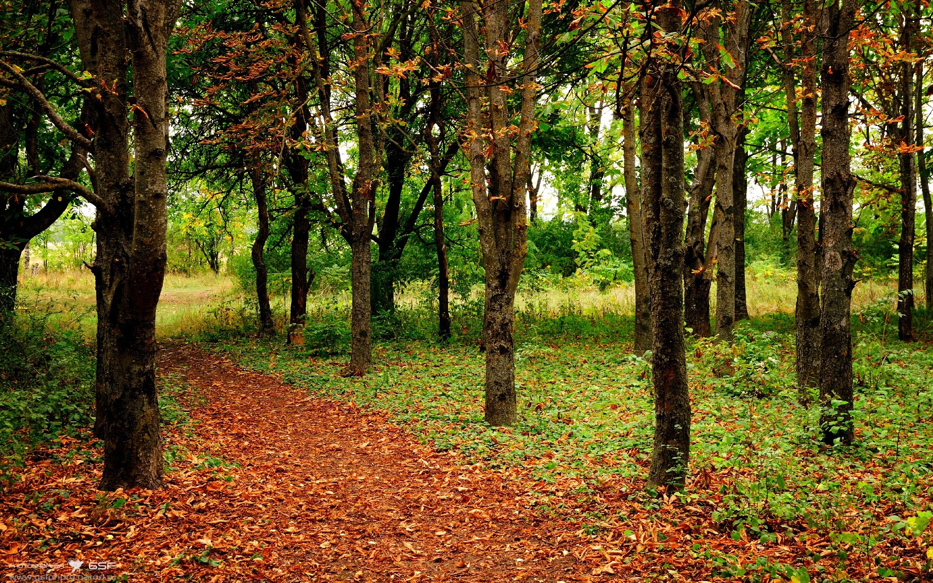 九游娱乐官网 (jiuyou)-伊朗男篮在亚洲预赛中奋勇争先，迈向奥运金牌激动人心，伊朗男篮近期战绩