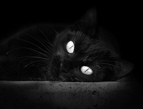 国家帆船队发布比赛停赛及恢复时间通报，帆船比赛延期