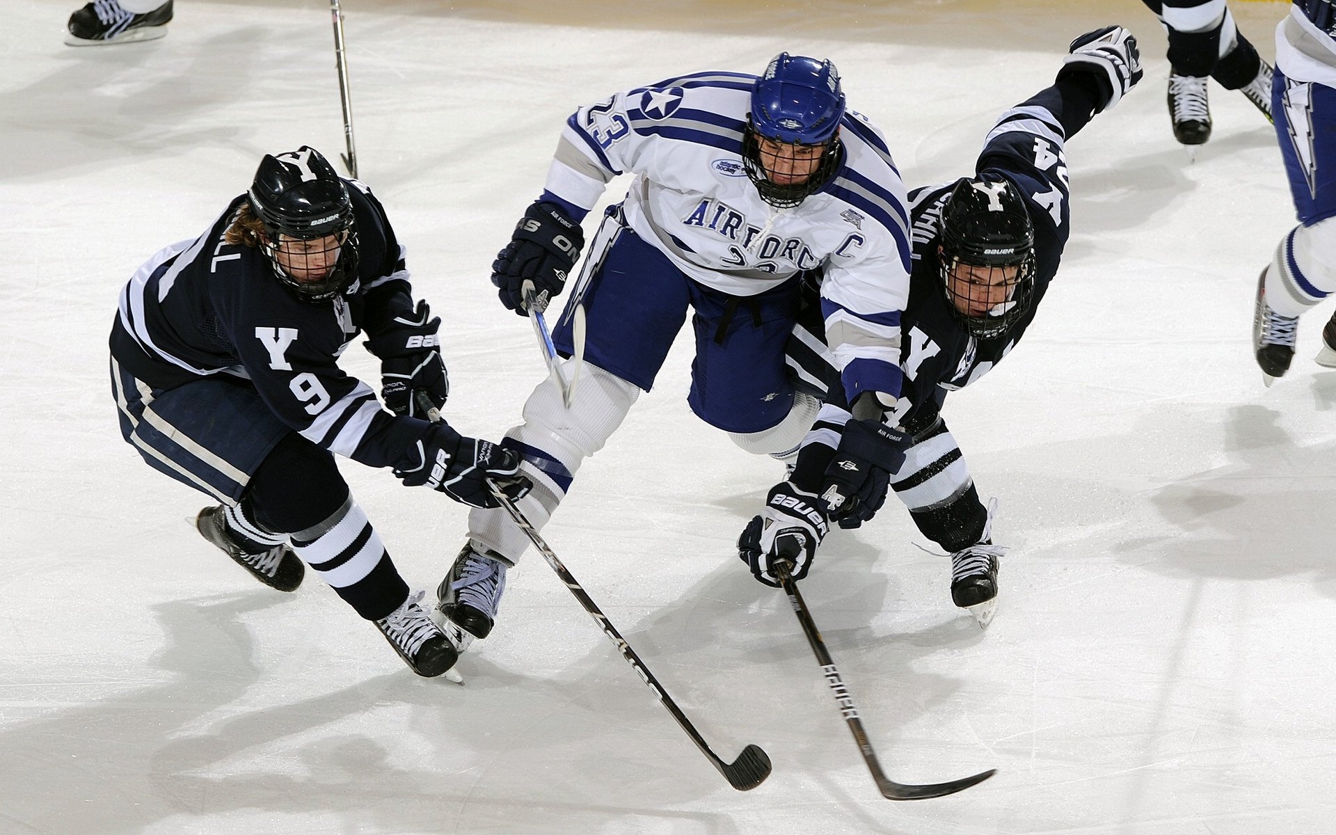 职业联赛推行训练分享会促进经验交流，职业联赛的要求