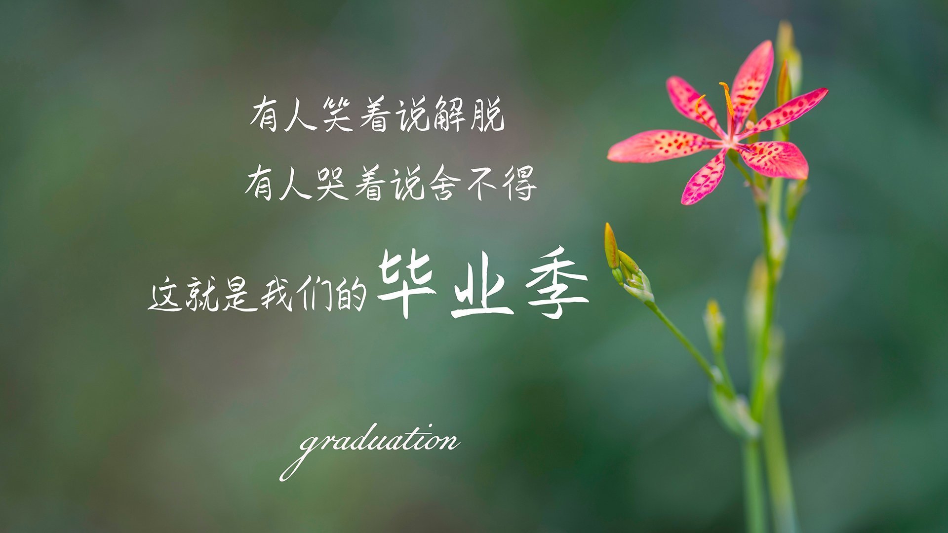 莫伊:稳定的前锋阵线核心,提供了全黑队进攻的强大支持,莫伊2至7