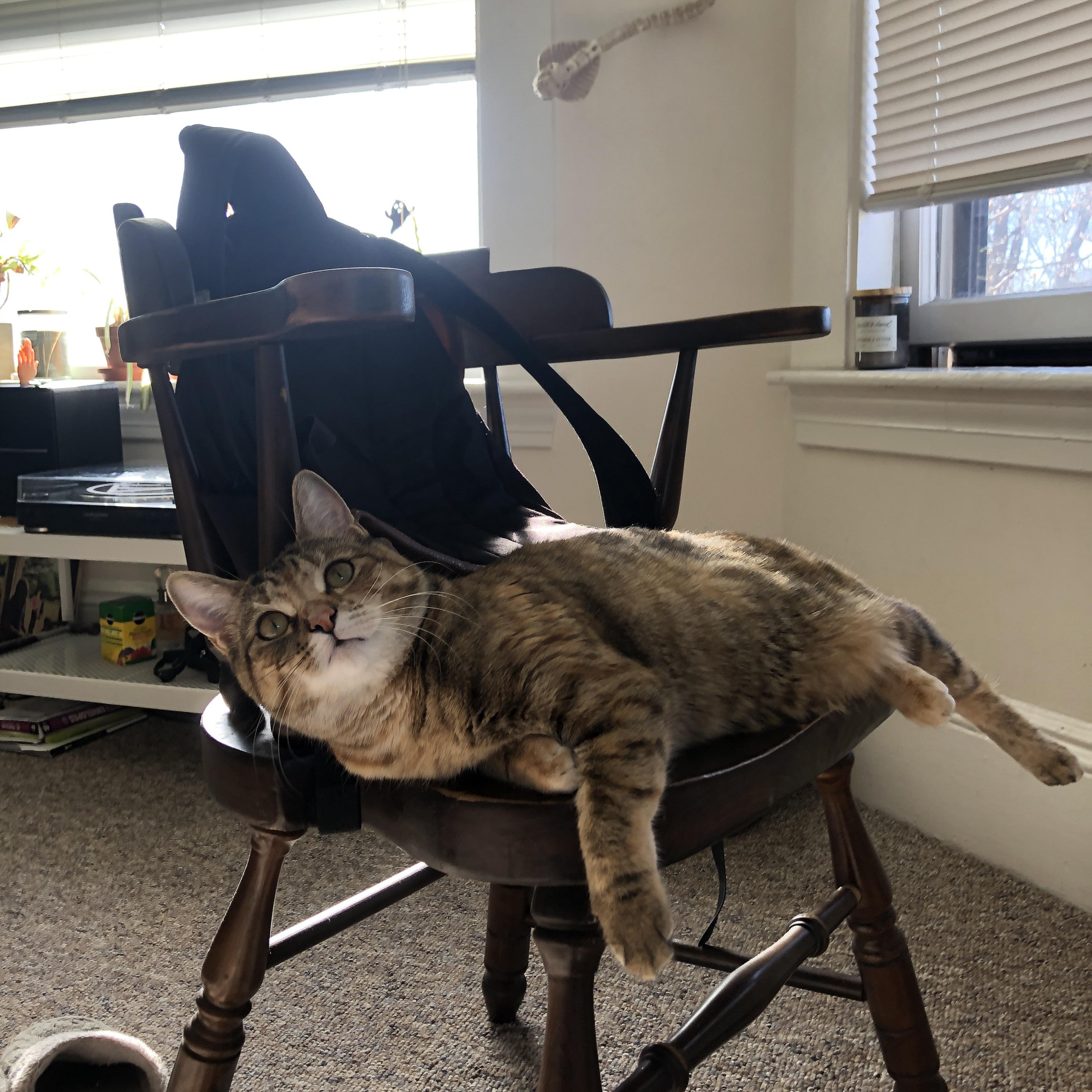 九游（jiuyou.com）游戏-詹姆斯在关键时刻连续命中中投，詹姆斯关键时刻刷2分