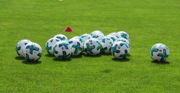 九游登录中心-德甲俱乐部足球与社会公益结合的品牌创新,德甲合作伙伴